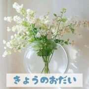 ヒメ日記 2026/06/02 21:36 投稿 もえ MIKADO