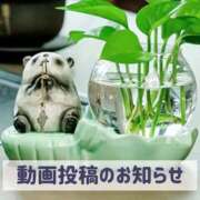 ヒメ日記 2026/06/05 19:51 投稿 もえ MIKADO