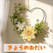 ヒメ日記 2026/07/01 20:31 投稿 もえ MIKADO