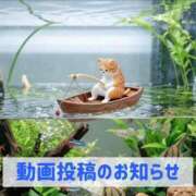 ヒメ日記 2026/07/31 19:51 投稿 もえ MIKADO