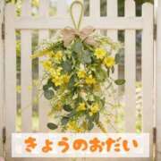 ヒメ日記 2026/08/08 18:35 投稿 もえ MIKADO