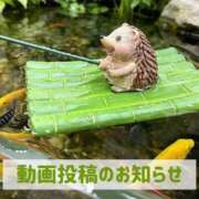 ヒメ日記 2026/08/26 19:51 投稿 もえ MIKADO