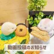 ヒメ日記 2026/09/21 19:51 投稿 もえ MIKADO