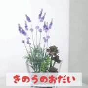 ヒメ日記 2026/10/03 18:35 投稿 もえ MIKADO