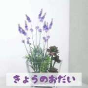 ヒメ日記 2026/10/10 18:31 投稿 もえ MIKADO