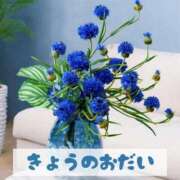 ヒメ日記 2026/10/11 18:35 投稿 もえ MIKADO