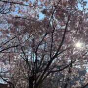 ヒメ日記 2025/04/08 10:09 投稿 みく 熟女の風俗最終章 仙台店