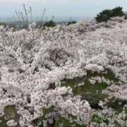 ヒメ日記 2025/04/22 18:24 投稿 みく 熟女の風俗最終章 仙台店