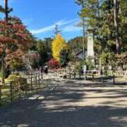 ヒメ日記 2025/11/07 10:44 投稿 みく 熟女の風俗最終章 仙台店