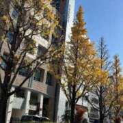 みく こんにち🐶 熟女の風俗最終章 仙台店