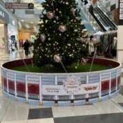 ヒメ日記 2025/12/14 18:12 投稿 みく 熟女の風俗最終章 仙台店