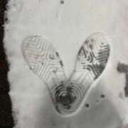 ヒメ日記 2026/01/12 20:09 投稿 みく 熟女の風俗最終章 仙台店