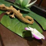 ヒメ日記 2026/01/15 08:53 投稿 みく 熟女の風俗最終章 仙台店