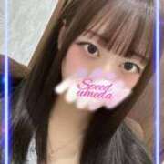 ヒメ日記 2025/08/20 17:39 投稿 れいか スピード梅田店