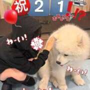 ヒメ日記 2026/01/12 16:00 投稿 あみ（動画撮影OＫ） OKINI Tokyo in 蒲田