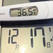 ヒメ日記 2024/12/17 10:55 投稿 らん MIKADO