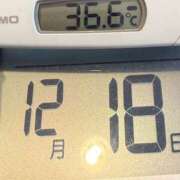 ヒメ日記 2024/12/18 08:51 投稿 らん MIKADO