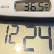 ヒメ日記 2024/12/24 08:05 投稿 らん MIKADO