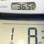 ヒメ日記 2025/01/08 08:05 投稿 らん MIKADO