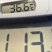 ヒメ日記 2025/01/13 07:35 投稿 らん MIKADO