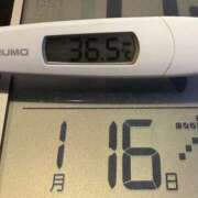 ヒメ日記 2025/01/16 07:47 投稿 らん MIKADO