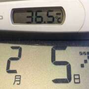 ヒメ日記 2025/02/05 08:00 投稿 らん MIKADO