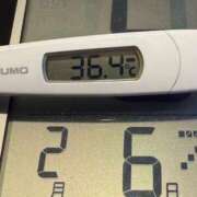 ヒメ日記 2025/02/06 08:56 投稿 らん MIKADO