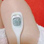 ヒメ日記 2025/02/08 07:31 投稿 らん MIKADO