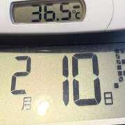 ヒメ日記 2025/02/10 07:55 投稿 らん MIKADO