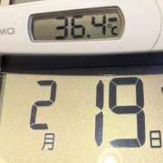 ヒメ日記 2025/02/19 08:56 投稿 らん MIKADO