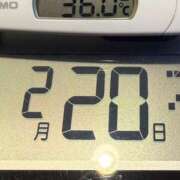 ヒメ日記 2025/02/20 08:31 投稿 らん MIKADO