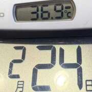 ヒメ日記 2025/02/24 07:15 投稿 らん MIKADO