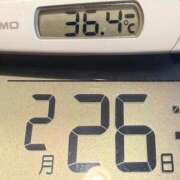 ヒメ日記 2025/02/26 05:45 投稿 らん MIKADO