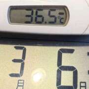 ヒメ日記 2025/03/06 08:21 投稿 らん MIKADO