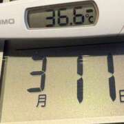 ヒメ日記 2025/03/11 05:21 投稿 らん MIKADO