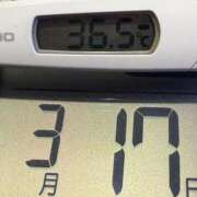 ヒメ日記 2025/03/17 08:27 投稿 らん MIKADO