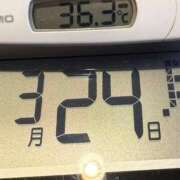 ヒメ日記 2025/03/24 05:41 投稿 らん MIKADO