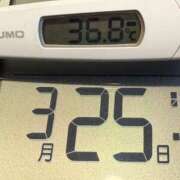 ヒメ日記 2025/03/25 05:31 投稿 らん MIKADO