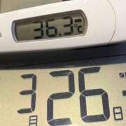 ヒメ日記 2025/03/26 05:56 投稿 らん MIKADO