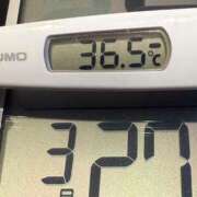 ヒメ日記 2025/03/27 06:36 投稿 らん MIKADO