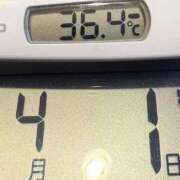 ヒメ日記 2025/04/01 06:31 投稿 らん MIKADO