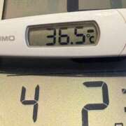 ヒメ日記 2025/04/02 07:01 投稿 らん MIKADO