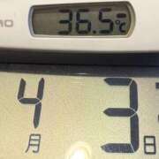 ヒメ日記 2025/04/03 07:11 投稿 らん MIKADO