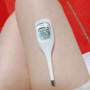 ヒメ日記 2025/04/04 07:31 投稿 らん MIKADO