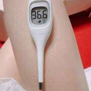 ヒメ日記 2025/04/05 07:41 投稿 らん MIKADO