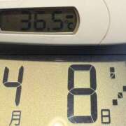 ヒメ日記 2025/04/08 09:21 投稿 らん MIKADO