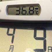 ヒメ日記 2025/04/09 08:54 投稿 らん MIKADO