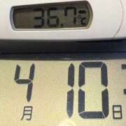 ヒメ日記 2025/04/10 07:09 投稿 らん MIKADO