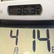 ヒメ日記 2025/04/14 06:06 投稿 らん MIKADO