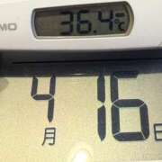 ヒメ日記 2025/04/16 06:21 投稿 らん MIKADO